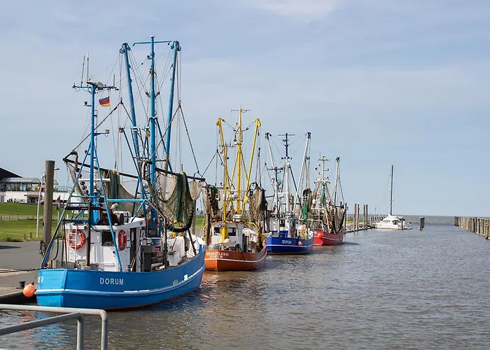 بيت للعطل Mellumplate 34 دورم نيوفيلد